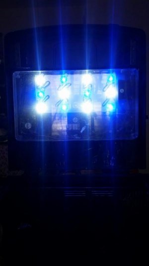 nano tank2.jpg