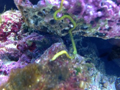 IMG_0150.jpg