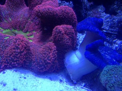 image (2) (800x600).jpg