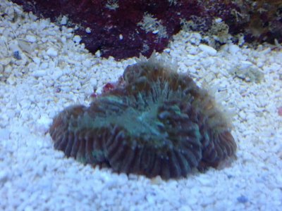 IMG_0137.jpg