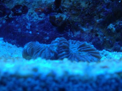 IMG_0152.jpg