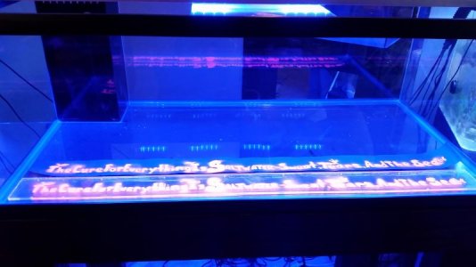 20150420_135544.jpg