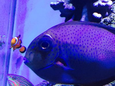 FullSizeRender (19).jpg