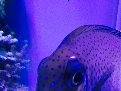 FullSizeRender (20).jpg