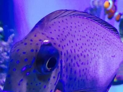 FullSizeRender (21).jpg