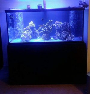 2015-04-17 21.40.28.jpg