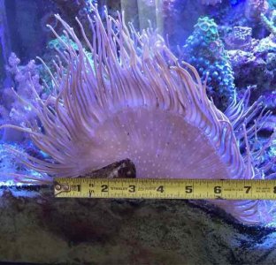 ImageUploadedByTapatalk1429645064.606765.jpg ImageUploadedByTapatalk1429645064.606765.jpg