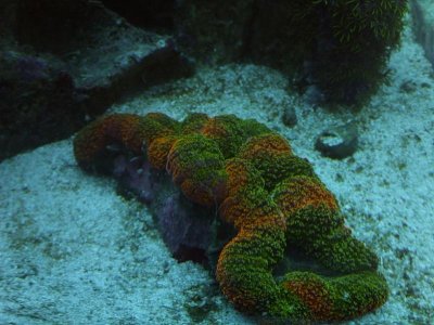 DSCF5487.jpg
