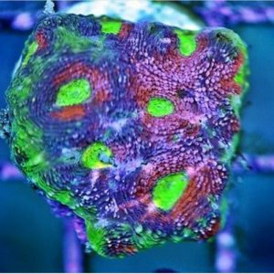 2015-04-22 13.16.52.jpg