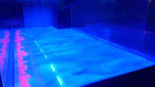 20150423_201430.jpg