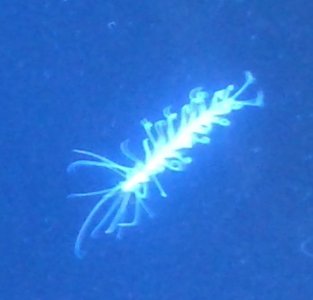 20150519_231304.jpg