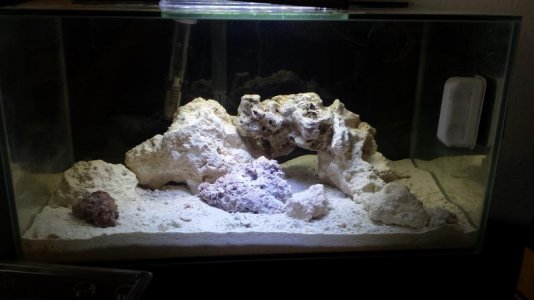 fluval2.jpg
