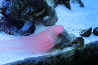 New Baby_5-21-15.jpg