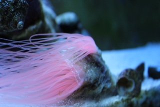 New Baby_5-21-15f.jpg