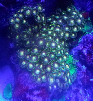 2015-05-22 20.26.40.jpg