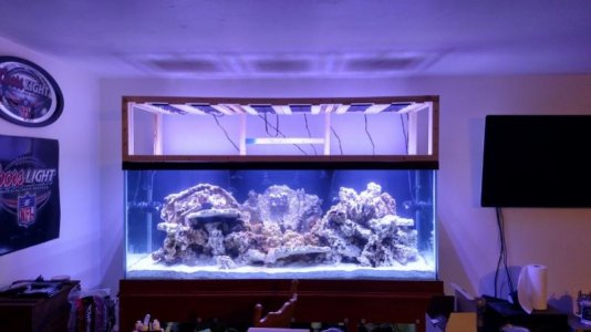 Canopy frame with lights.jpg