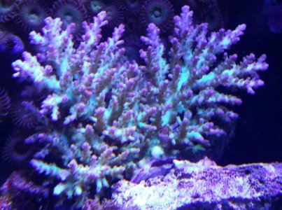 2015-05-22 20.48.31.jpg