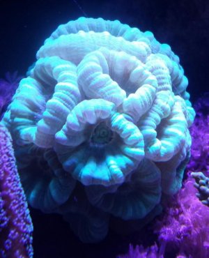 2015-05-22 20.46.44.jpg