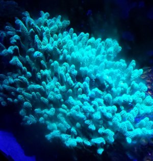 2015-05-22 22.11.46.jpg