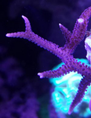 2015-05-10 12.20.27.jpg