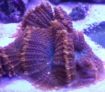 2015-05-22 22.17.13.jpg