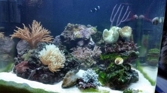 2015-04-27 10.40.58.jpg