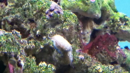 20150523_161844.jpg