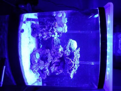 2015_0426_21542200.jpg