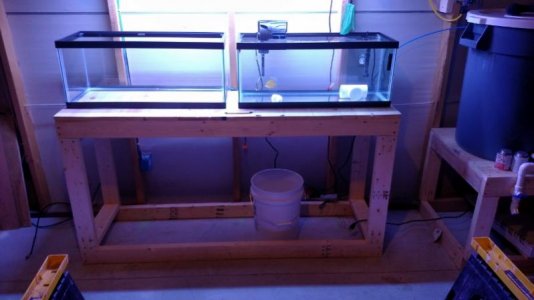 QT tanks 1 (800x450).jpg