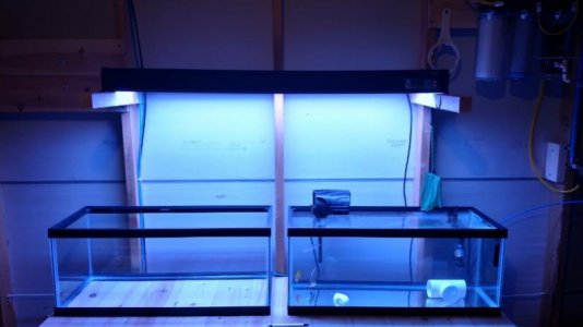 QT tanks 2 (800x450).jpg