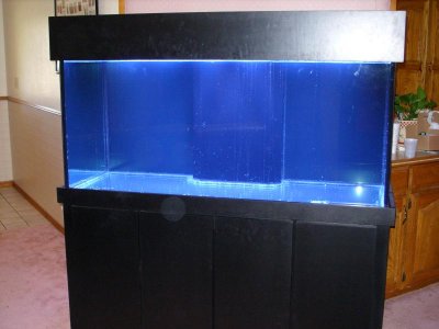 SS852944.jpg