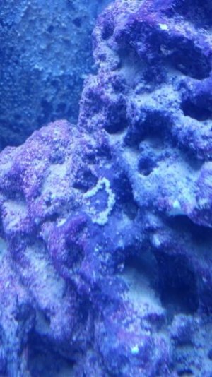 20150428_135810_Richtone(HDR)_resized (360x640).jpg