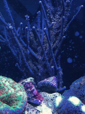 FullSizeRender 11.jpg