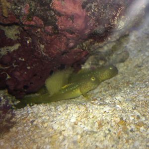 IMG_0720.jpg