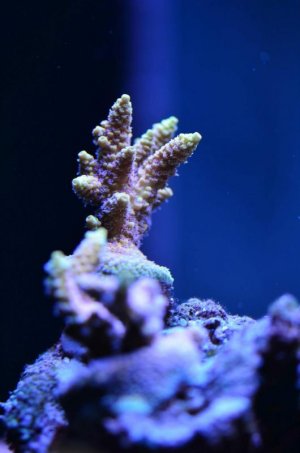 uploadfromtaptalk1432747525587.jpg uploadfromtaptalk1432747525587.jpg