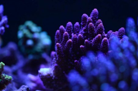 uploadfromtaptalk1432747535738.jpg uploadfromtaptalk1432747535738.jpg