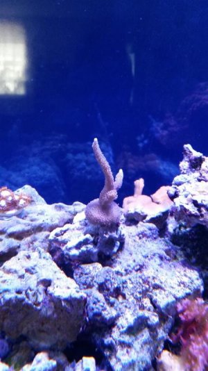 20150430_121934.jpg