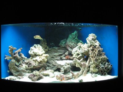 92 Corner.6.dark room.jpg