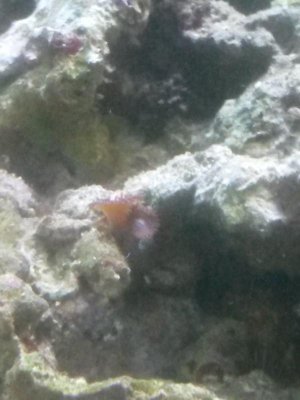 20150501_071945.jpg