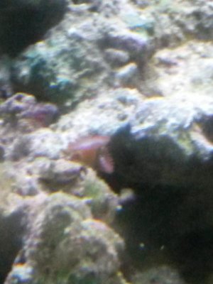 20150501_072003.jpg