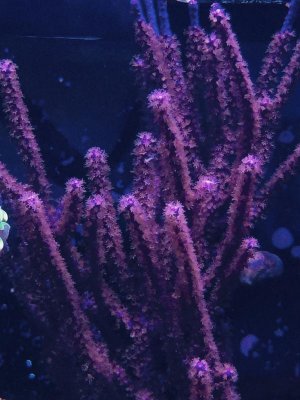 FullSizeRender 16.jpg