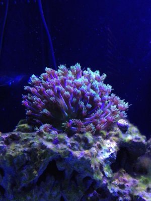 IMG_1092.jpg