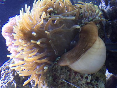 Annemone 3 months(1).jpg