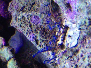 IMG_1555.JPG
