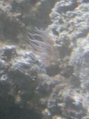 20150531_123450.jpg