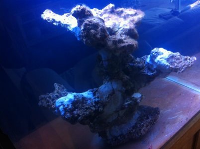 IMG_3773.jpg