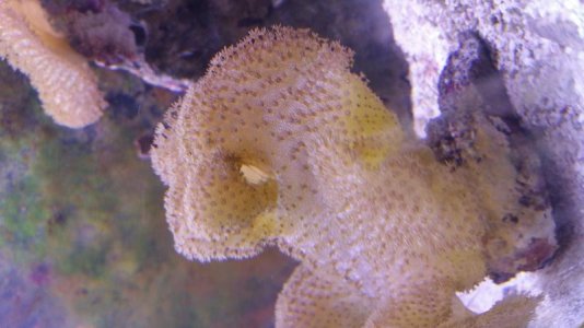 uploadfromtaptalk1433095725539.jpg uploadfromtaptalk1433095725539.jpg