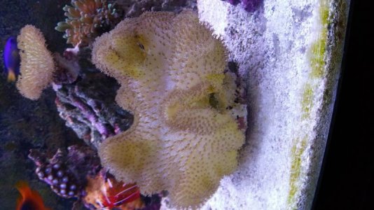 uploadfromtaptalk1433095740323.jpg uploadfromtaptalk1433095740323.jpg