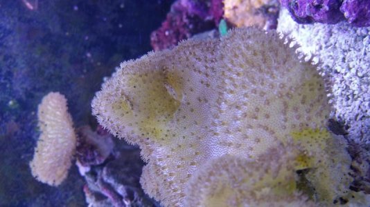 uploadfromtaptalk1433095768591.jpg uploadfromtaptalk1433095768591.jpg