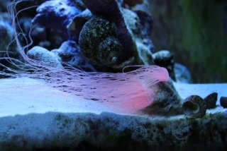 New Baby_5-21-15d.jpg